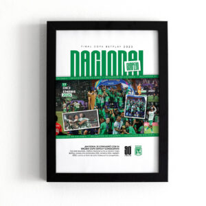 nacional campeón libertadores 2016 (copia)